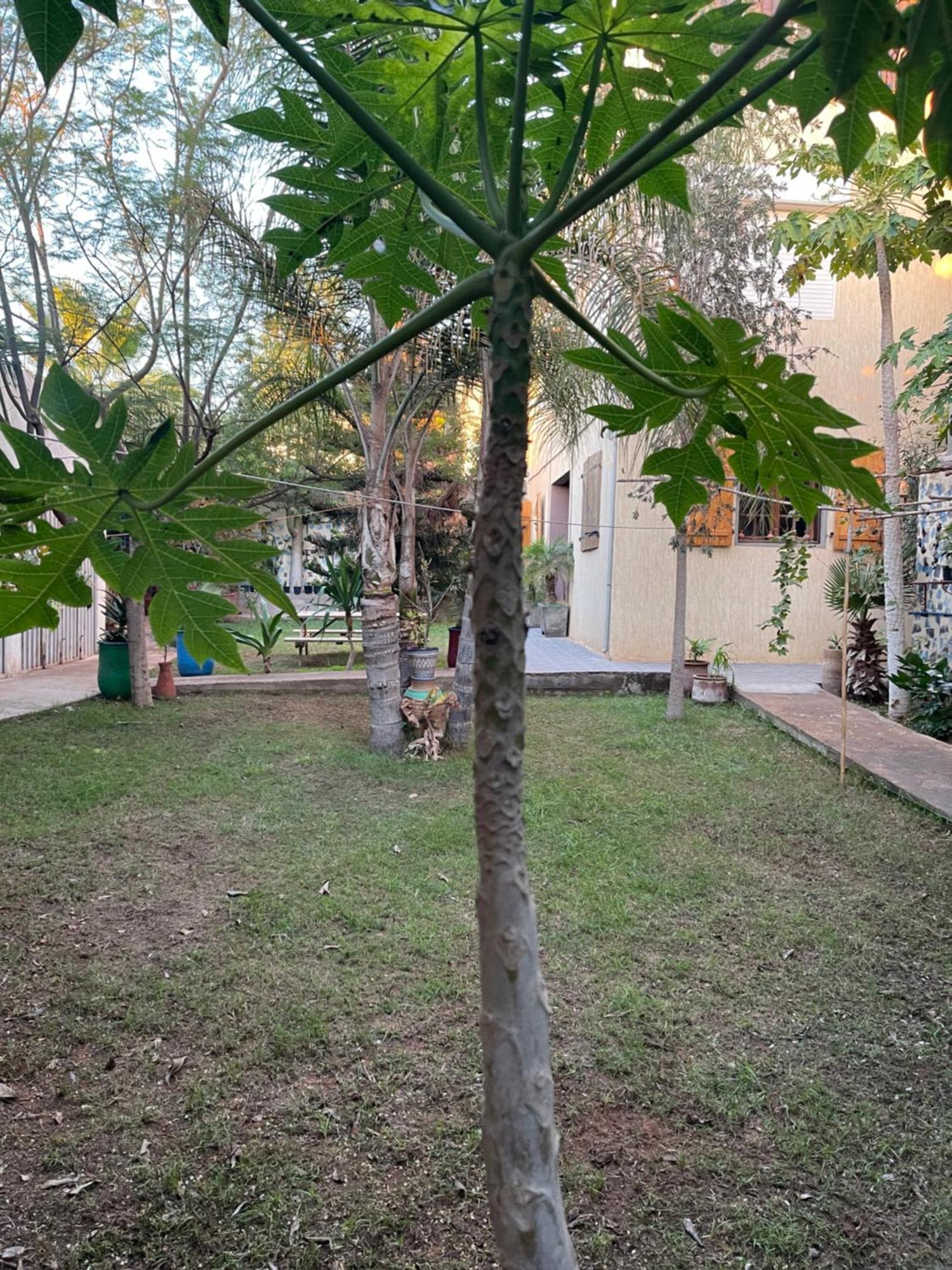 Riad Targante Takate 1 Sidi Bibi ภายนอก รูปภาพ