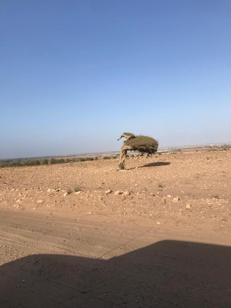 Riad Targante Takate 1 Sidi Bibi ภายนอก รูปภาพ